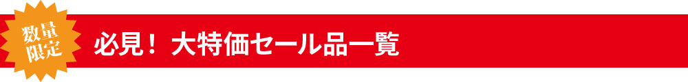 数量限定！必見！大特価セール品一覧